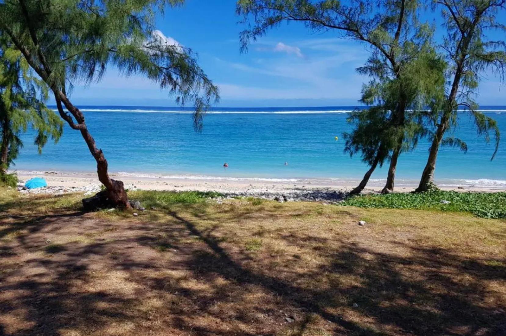 Le Tamarin Bleu - Studio A 300 M De La Plage La Saline Le Bains Bagian luar foto
